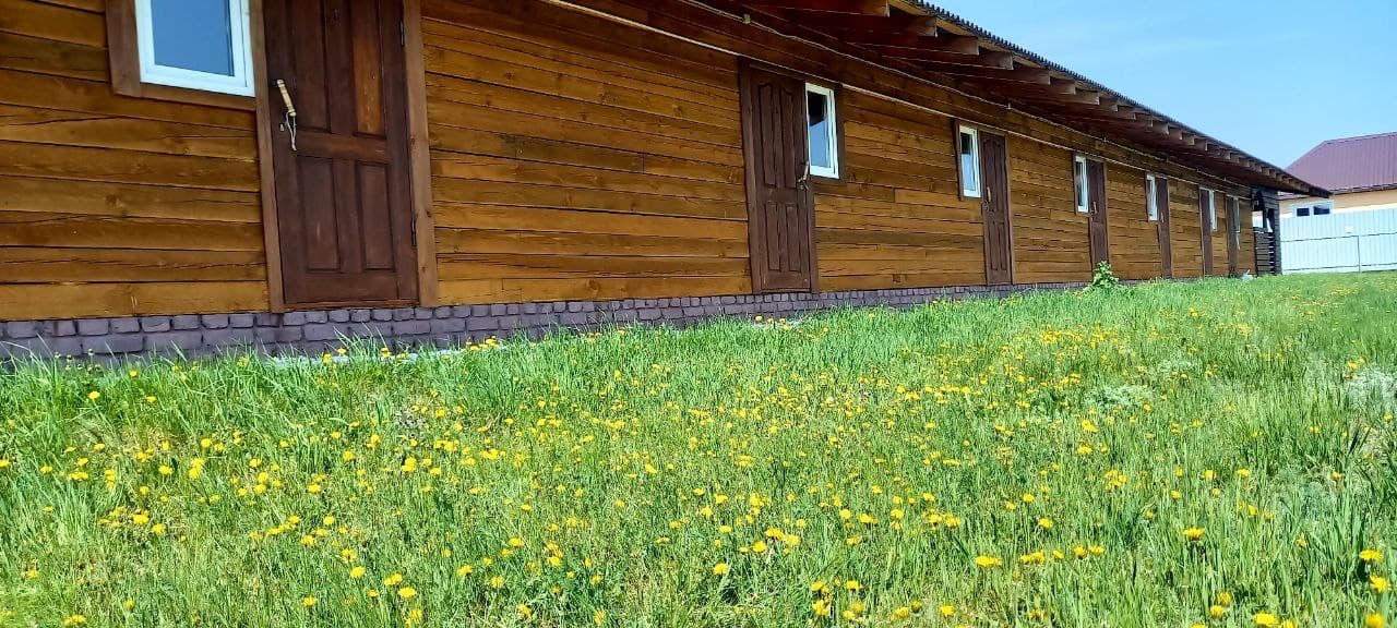Ромашка (Яровое)