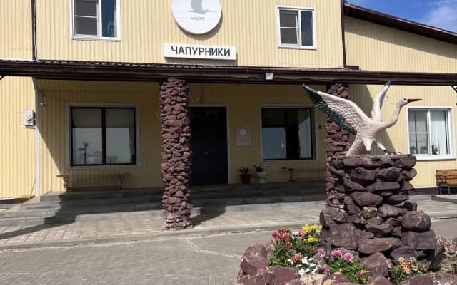 Чапурники