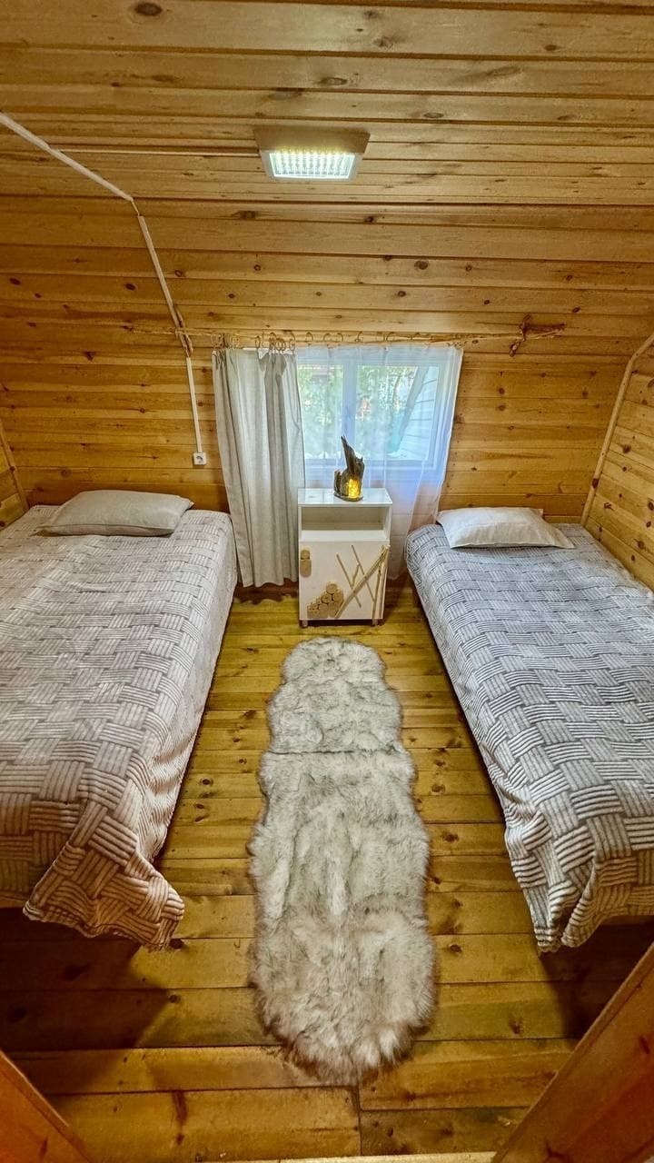 Белый Клык большой дом