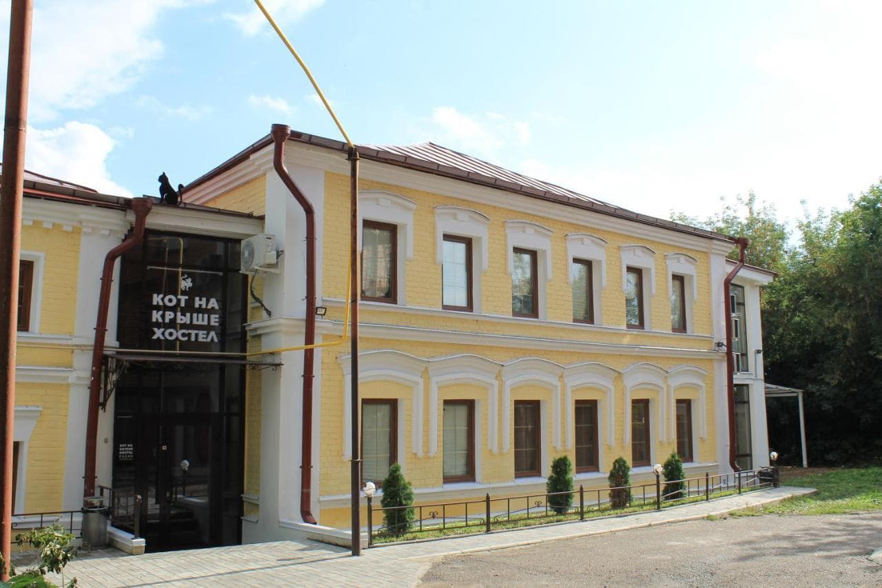 Кот на крыше(Казань)