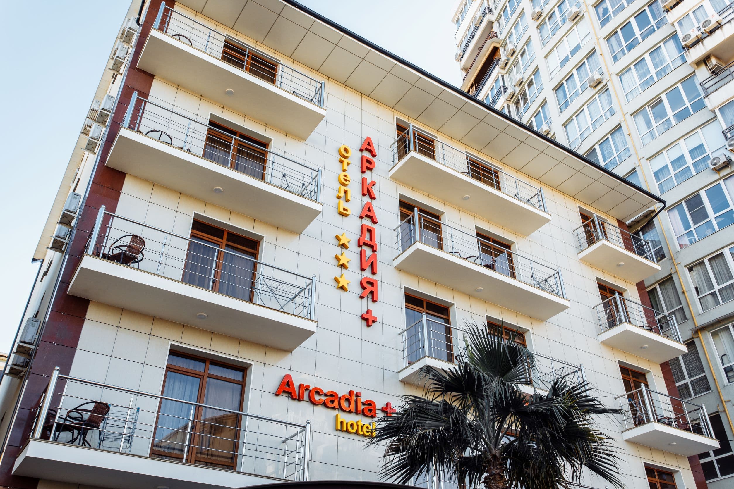 Аркадия+